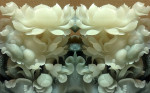 3D Фотообои "Нефритовые цветы"