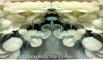 3D Фотообои "Нефритовые цветы"