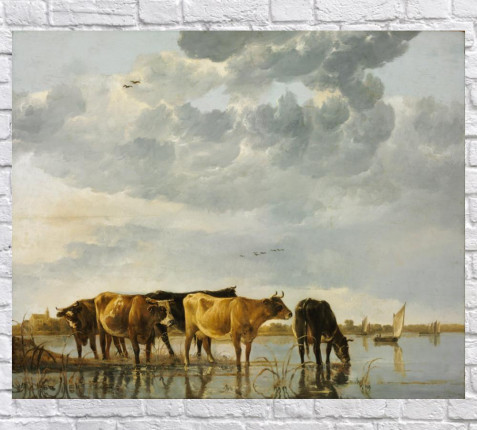 КОРОВЫ В РЕКЕ