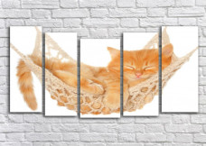 КОТЕНОК В ГАМАКЕ