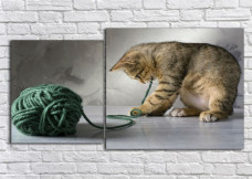 КОТ ИГРАЕТСЯ С КЛУБКОМ