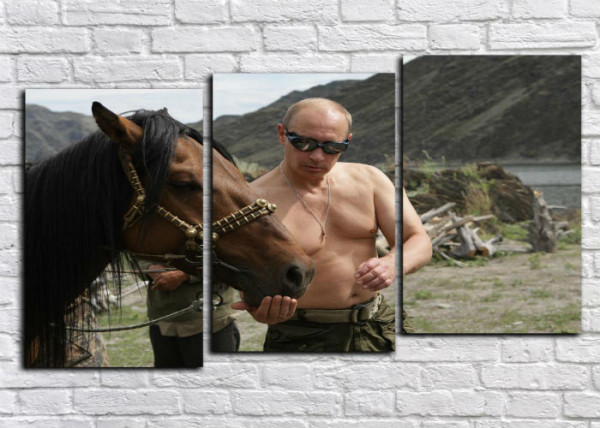 ВЕЖЛИВЫЙ ЧЕЛОВЕК