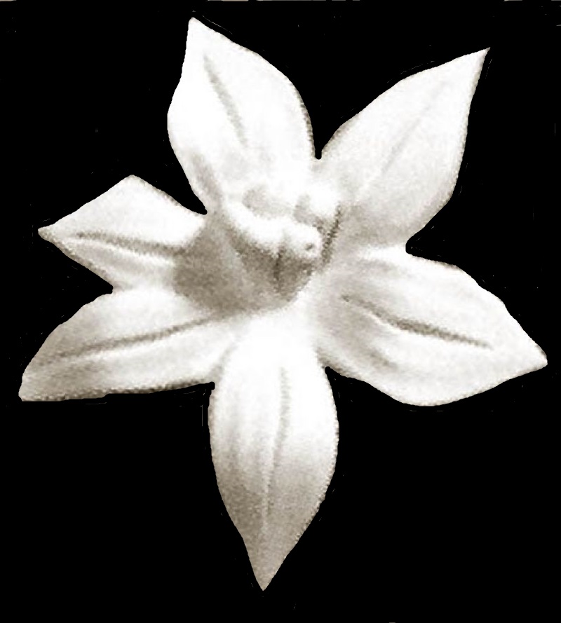 Средний элемент М- 50