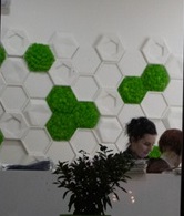 Модель "Eco-1"