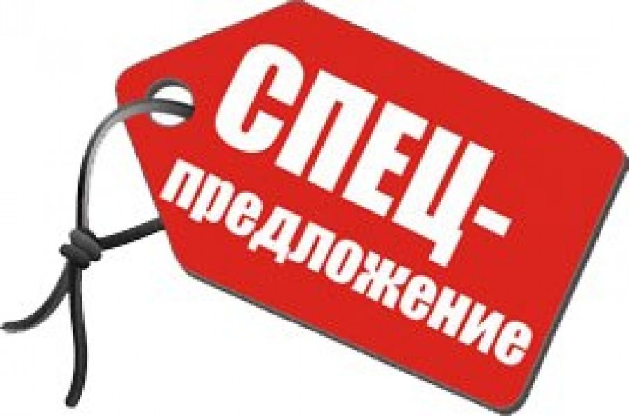 Специальная цена на дачные камины.
